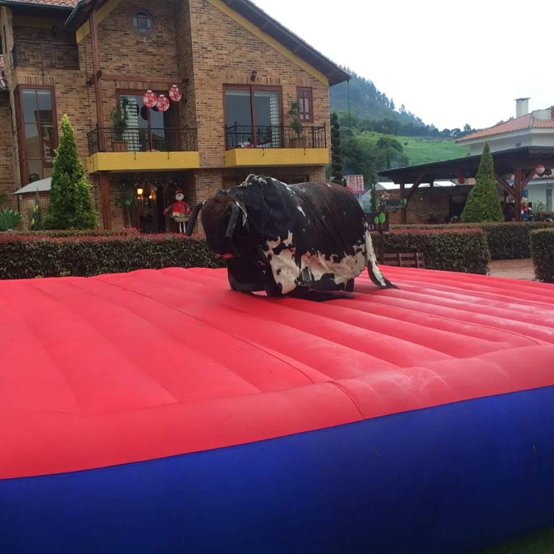 Contrata el servicio de Toro Mecanico en Partymax. Imagen #1