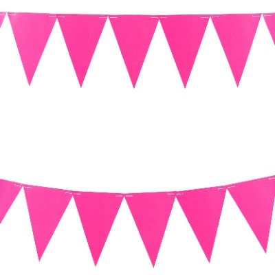 Compra Banderin Temática Neón Fucsia en Partymax. Bogotá. Imagen #1.