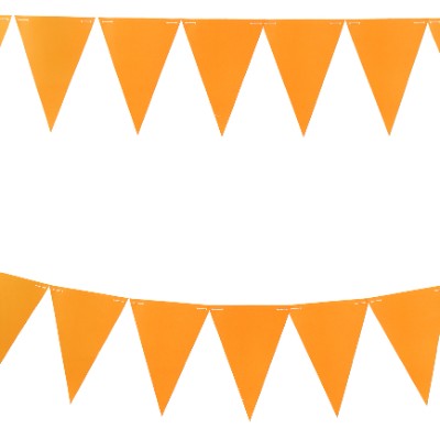 Compra Banderin Temática Neón Naranja en Partymax. Bogotá. Imagen #1.