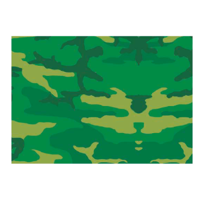 Compra Individual Camuflado * 8 Unidades en Partymax. Bogotá. Imagen #1.